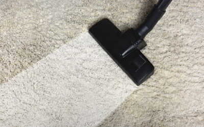 Improve Your Business’s Office with Professional Floor and Carpet Cleaning