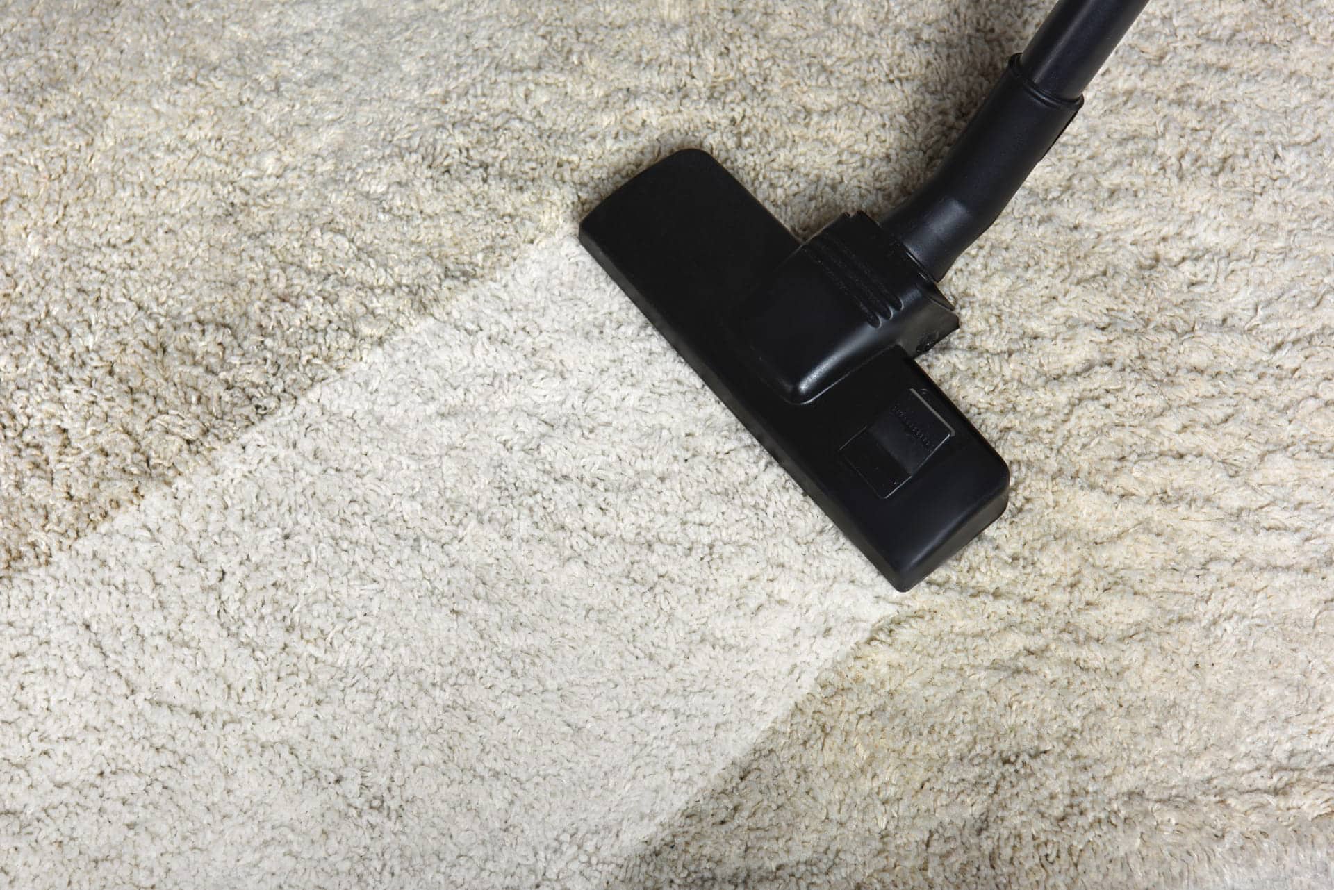 The Surprising Benefits of Professional Carpet Cleaning You Never Knew