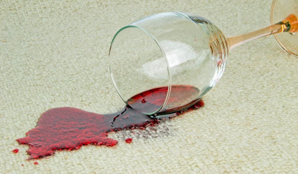 Why Regular Professional Carpet Cleaning is Essential in Gulfport, MS