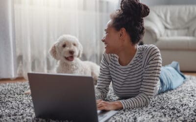 The Professional Carpet Cleaning Solution for Pet Stains in Gulfport