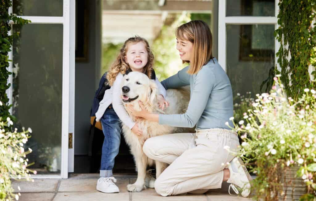 The Ultimate Guide to Keeping Your Home Flawlessly Clean for Your Furry Friends!