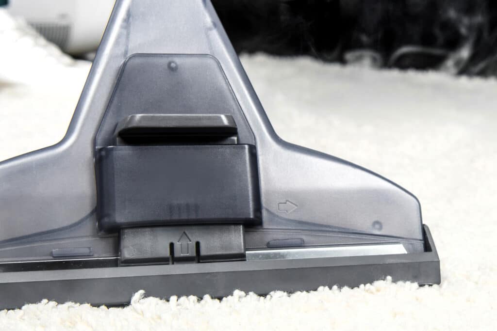 How Much Does Carpet Cleaning Cost in Gulfport, MS