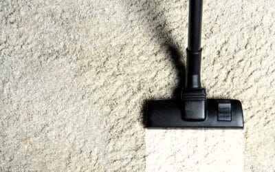 How Much Does Carpet Cleaning Cost in Gulfport, MS?