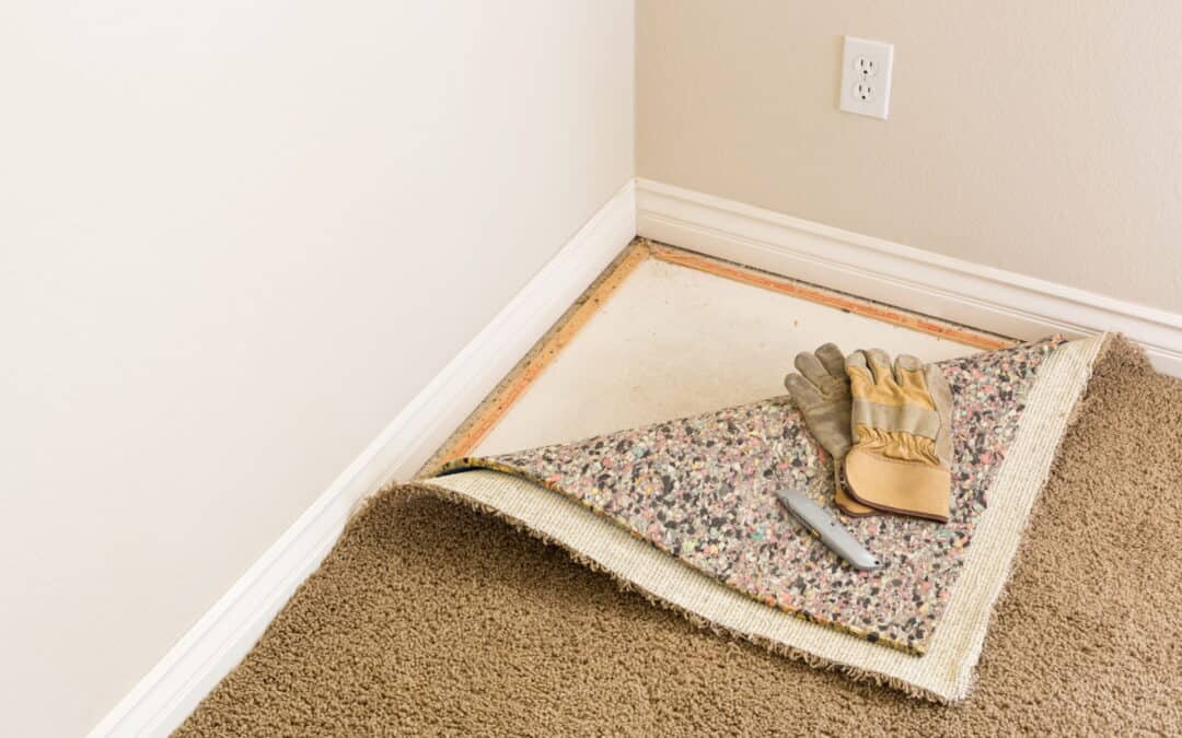 Water Damage: How Professional Carpet Cleaning Can Save Your Floors