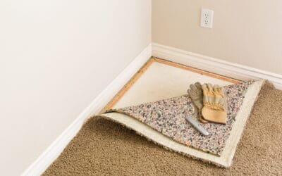 Water Damage: How Professional Carpet Cleaning Can Save Your Floors