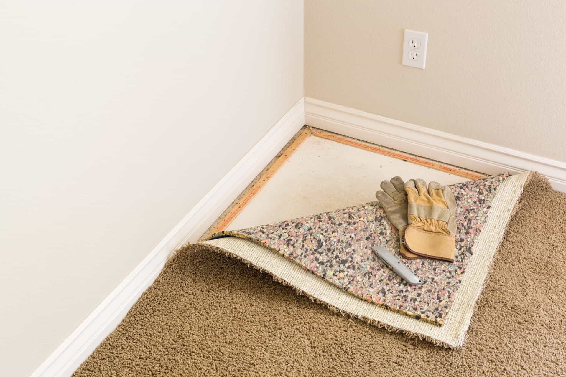 Water Damage: How Professional Carpet Cleaning Can Save Your Floors